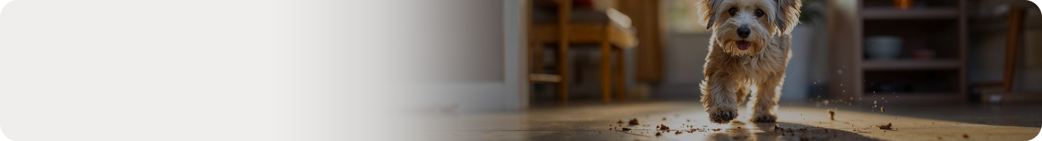 Sanitizing Sanitizing